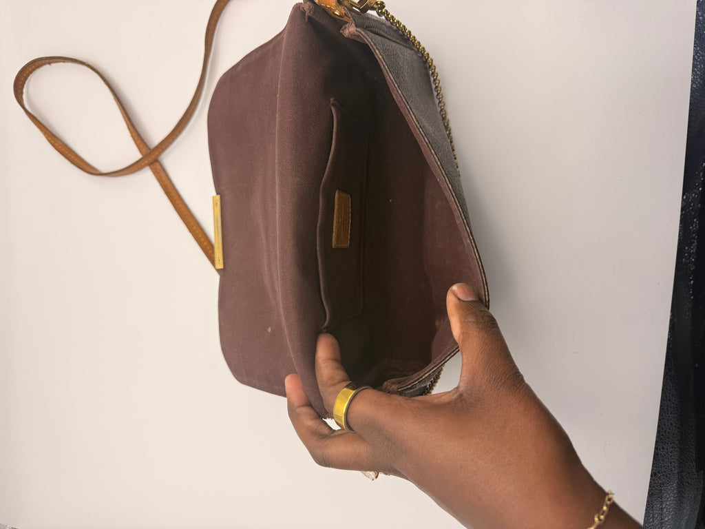Louis Vuitton Favorite bag